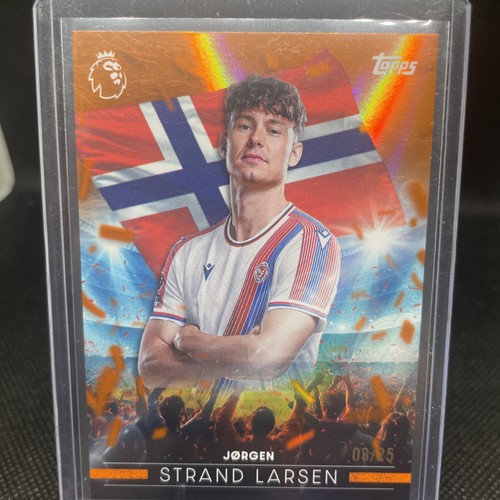 Inserto jorgen strand - jorgen,