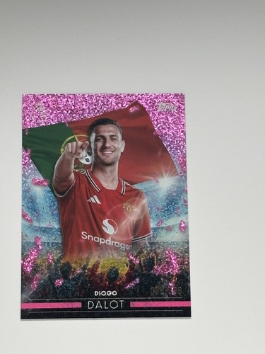 Diego dalot fly - dalot, the