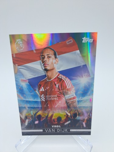 Virgil van dijk flying the - virgil,